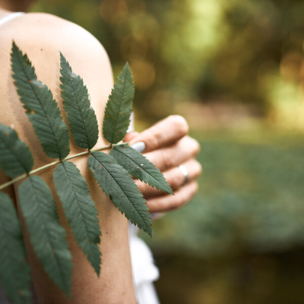 Cropped image of unknown mysterious young woman posing in park, holding green leaf while relaxing outdoors on sunny day. Close up of fern plant in female hand. Botany, nature and flora concept